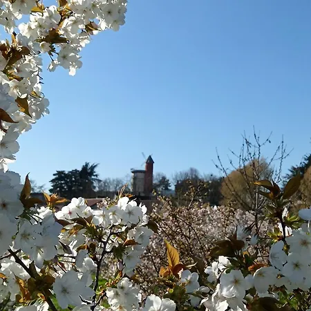 Au Jardin Parisien